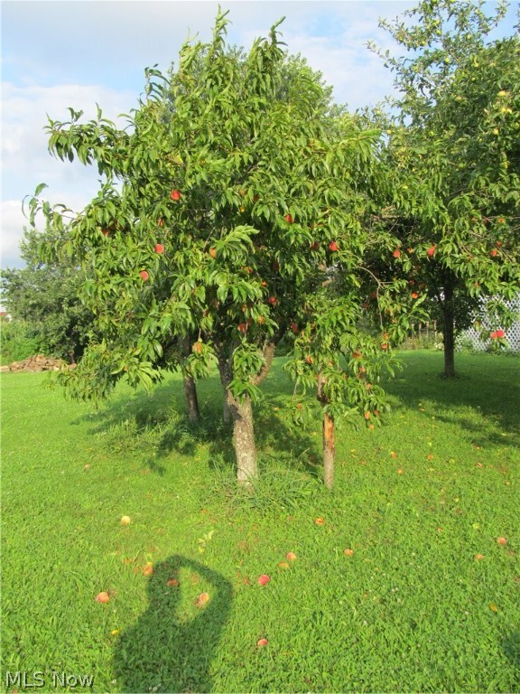 Swc Allot - Residential