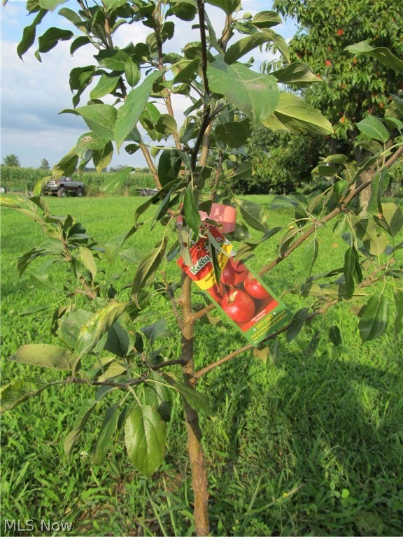 Swc Allot - Residential