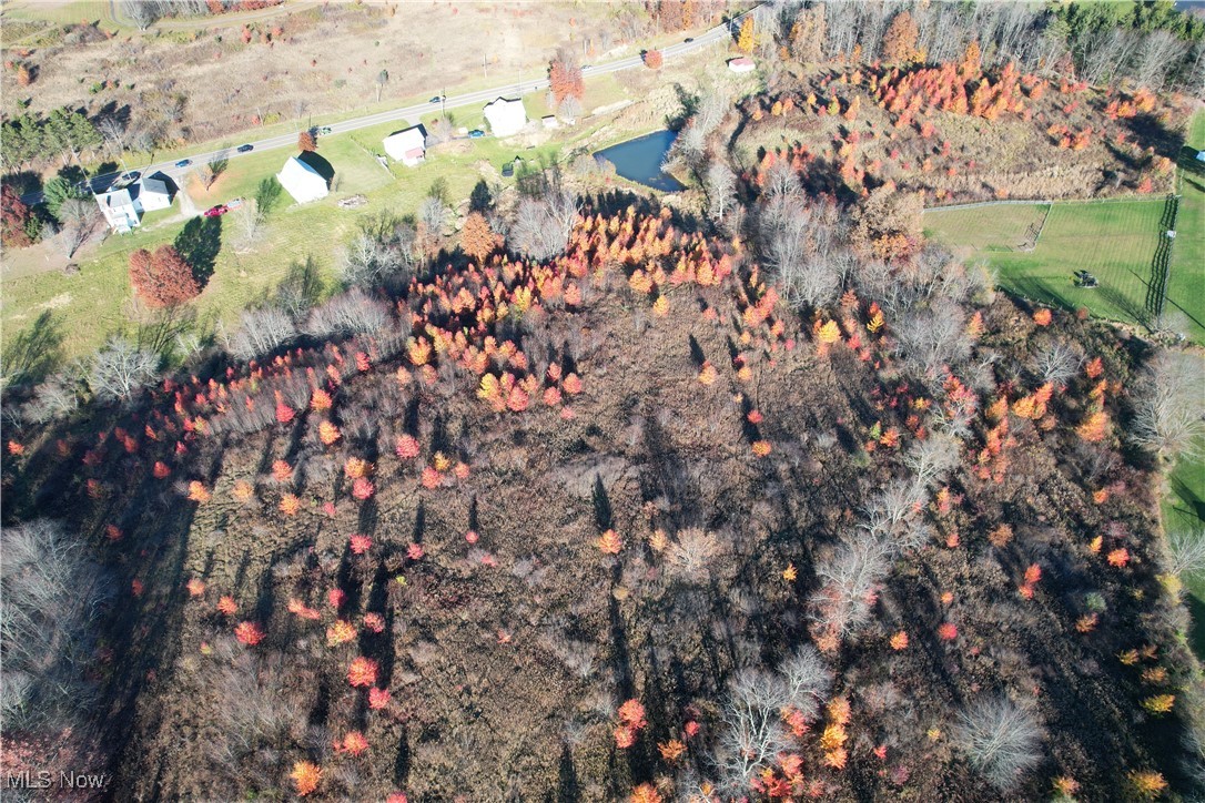 Roswell Road, Carrollton, Ohio image 6