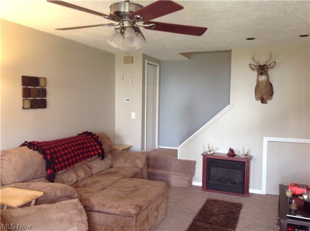 Brunswick Meadows - Residential