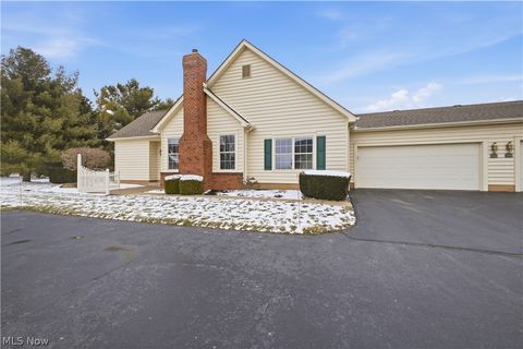 246 Village Court Columbiana OH 44408