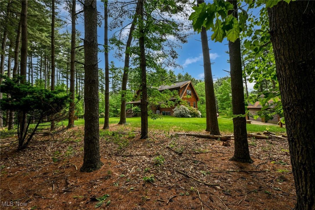 5360 Lance Road, Medina, Ohio image 30