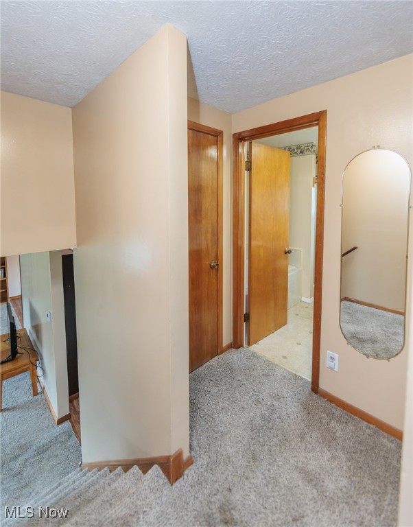 347 Beeler Drive, Berea, Ohio image 25