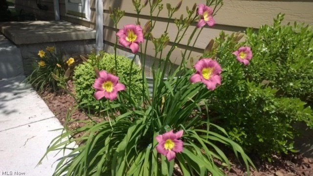 Lucy E Brodbecks Riverside Park - Residential