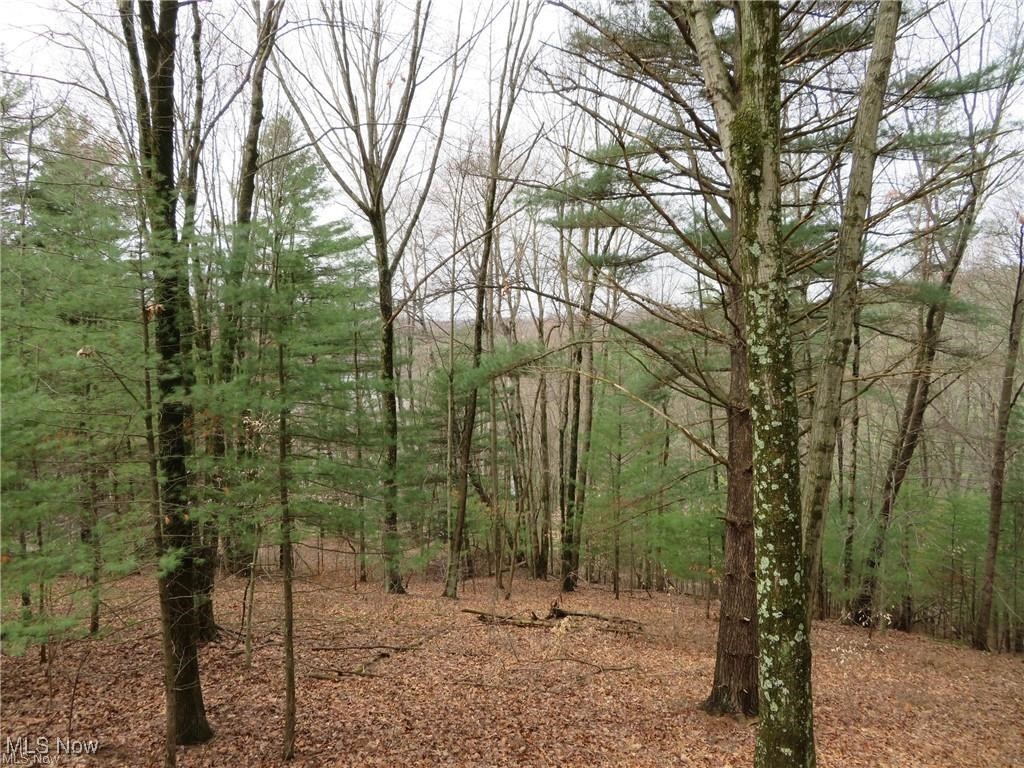 Barnhouse - Residential