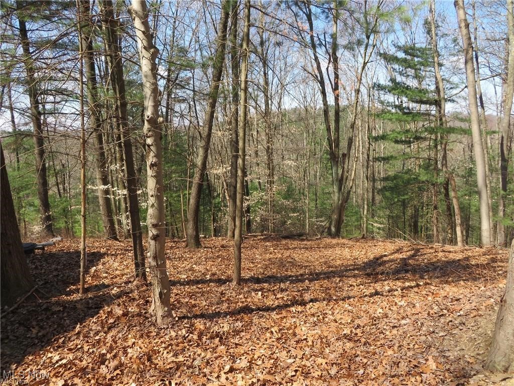 Barnhouse - Residential