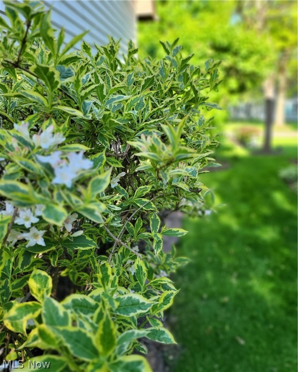 West Heights Allotment - Residential