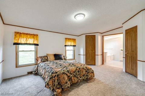 Tiny photo for 9493 State Route 9, Hanoverton, OH 44423 (MLS # 5179250)