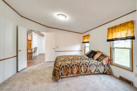 Tiny photo for 9493 State Route 9, Hanoverton, OH 44423 (MLS # 5179250)