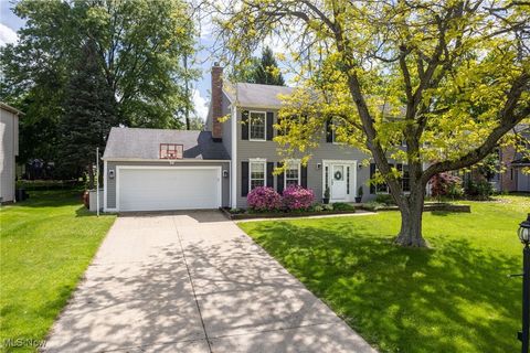 14185 Hastings Court Strongsville OH 44136