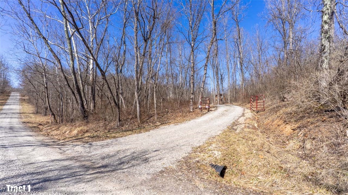 Mistletoe Avenue, Oakwood, Ohio image 47