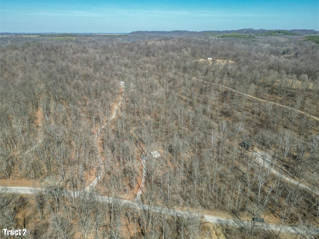 Mistletoe Avenue, Oakwood, Ohio image 5