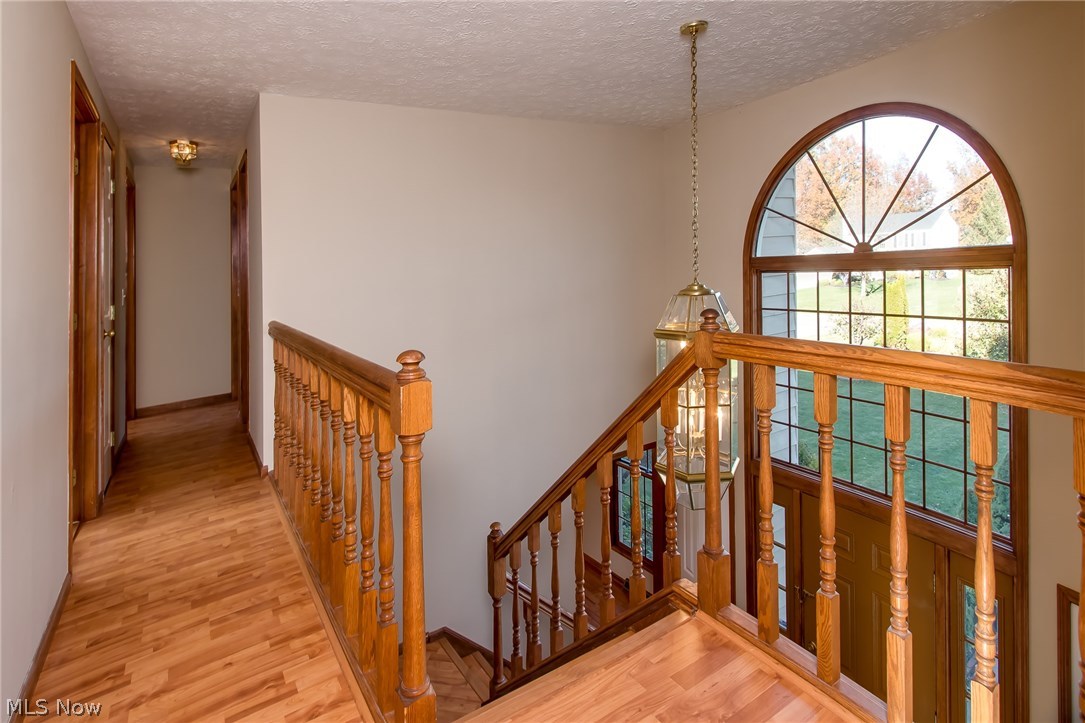 The Pines - Residential