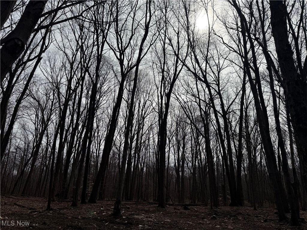 John Thomas Road, Ravenna, Ohio image 19