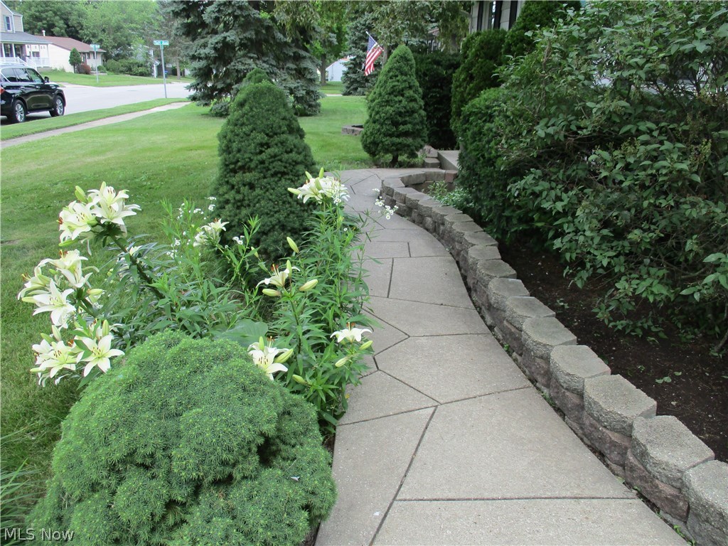 Lions Park - Residential