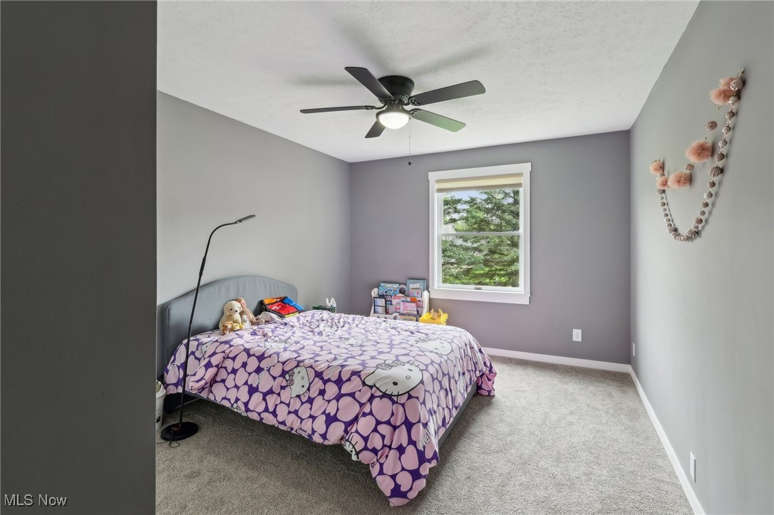 31650 Birch Circle, Solon, Ohio image 29