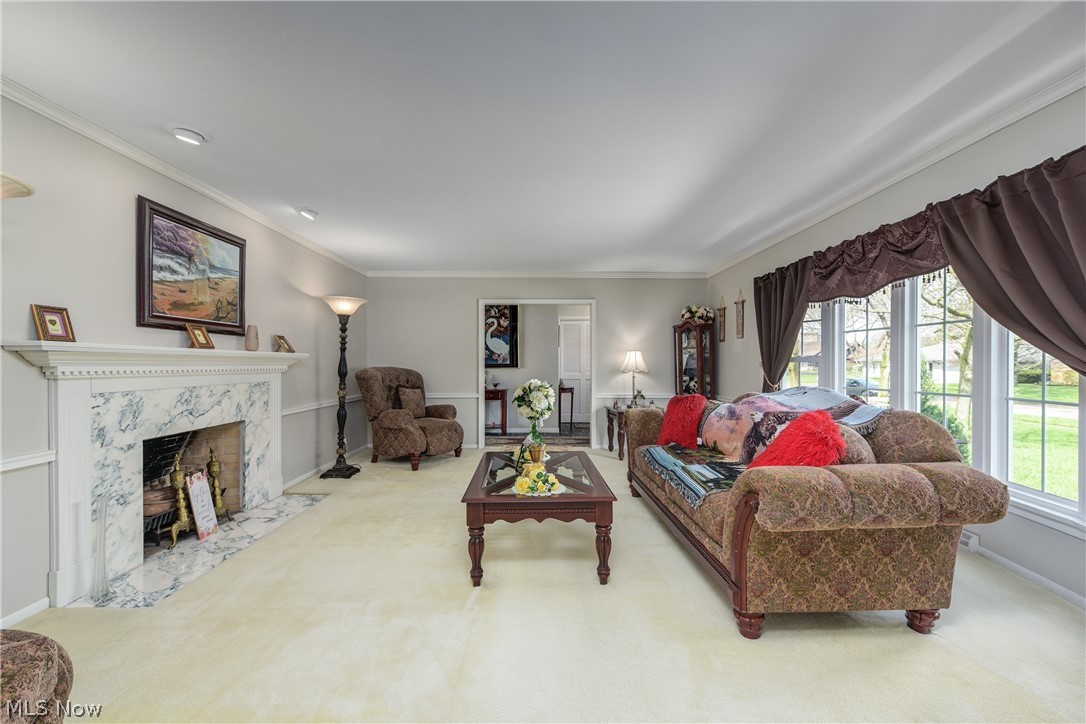 Elywood Allotment 07 - Residential