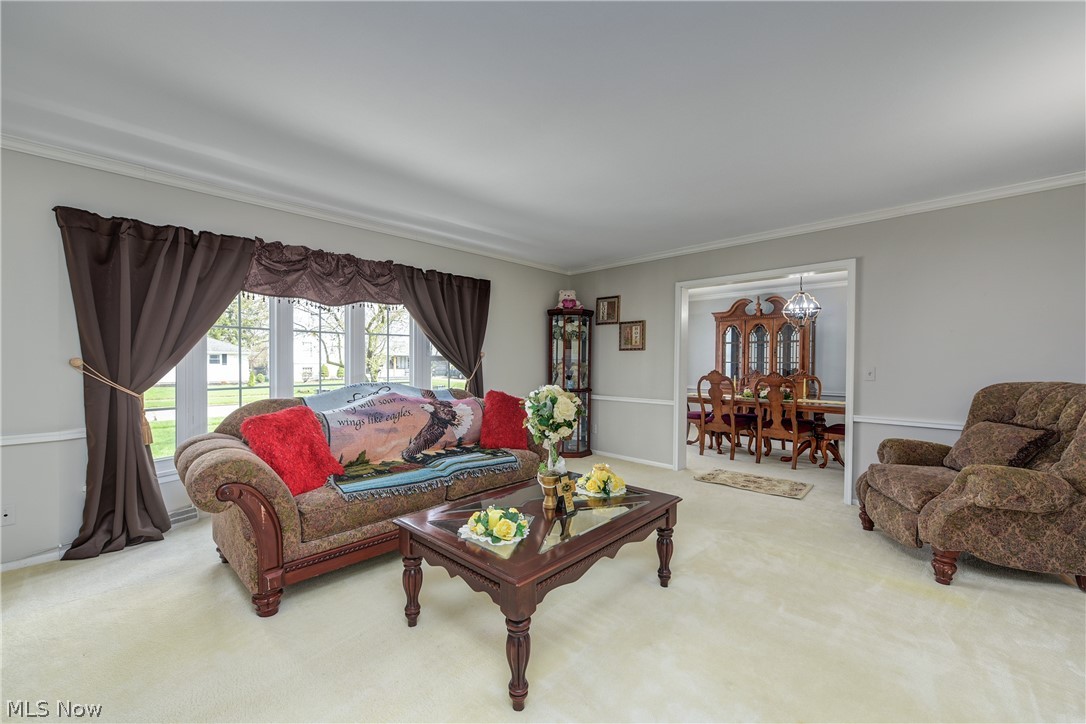 Elywood Allotment 07 - Residential