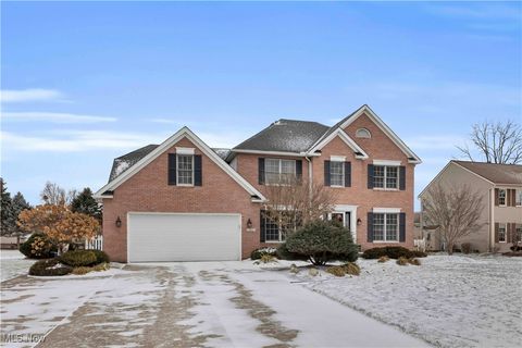 Photo of 111 Charles Avenue, Amherst, OH 44001 (MLS # 5179007)