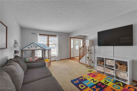 Tiny photo for 111 Charles Avenue, Amherst, OH 44001 (MLS # 5179007)