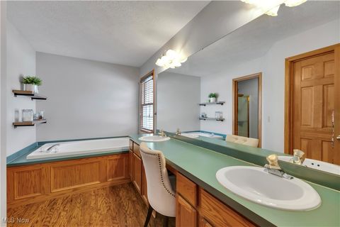 Tiny photo for 111 Charles Avenue, Amherst, OH 44001 (MLS # 5179007)