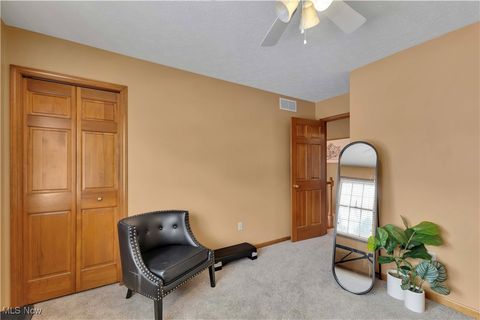 Tiny photo for 111 Charles Avenue, Amherst, OH 44001 (MLS # 5179007)