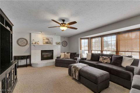 Tiny photo for 111 Charles Avenue, Amherst, OH 44001 (MLS # 5179007)