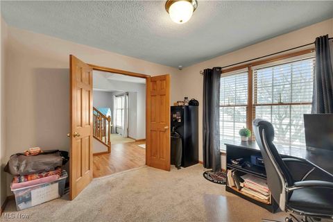 Tiny photo for 111 Charles Avenue, Amherst, OH 44001 (MLS # 5179007)