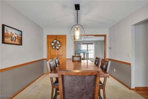 Tiny photo for 111 Charles Avenue, Amherst, OH 44001 (MLS # 5179007)