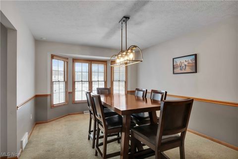 Tiny photo for 111 Charles Avenue, Amherst, OH 44001 (MLS # 5179007)