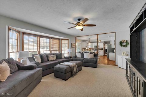 Tiny photo for 111 Charles Avenue, Amherst, OH 44001 (MLS # 5179007)