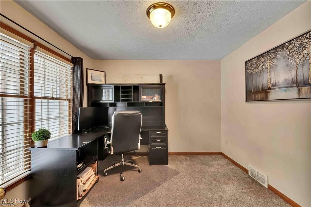 Photo of 111 Charles Avenue, Amherst, OH 44001 (MLS # 5179007)