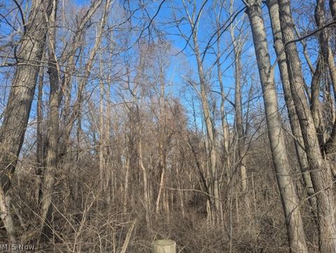 Photo of 0 Township Road 215, New Lexington, OH 43764 (MLS # 5190553)