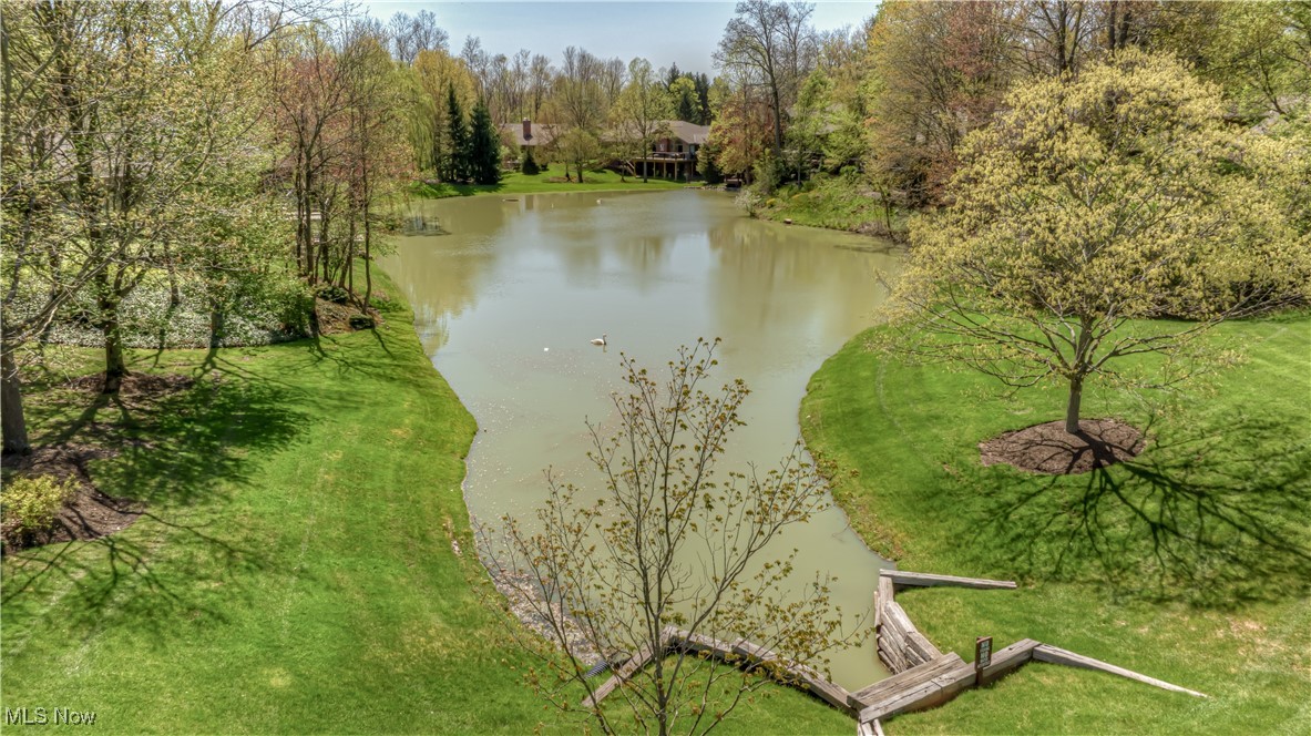 325 Inwood Trail, Aurora, Ohio image 45