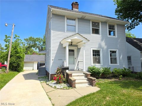 Single Family Residence in Garfield Heights OH 10705 Plymouth Avenue.jpg