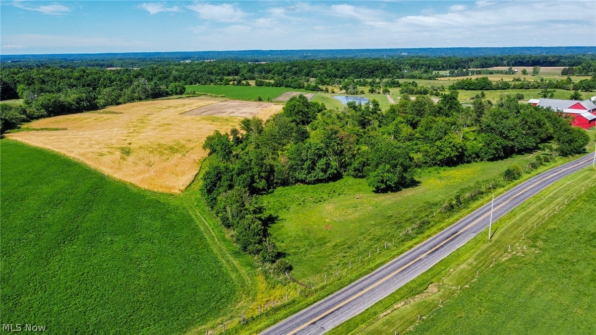 Holshoe Road