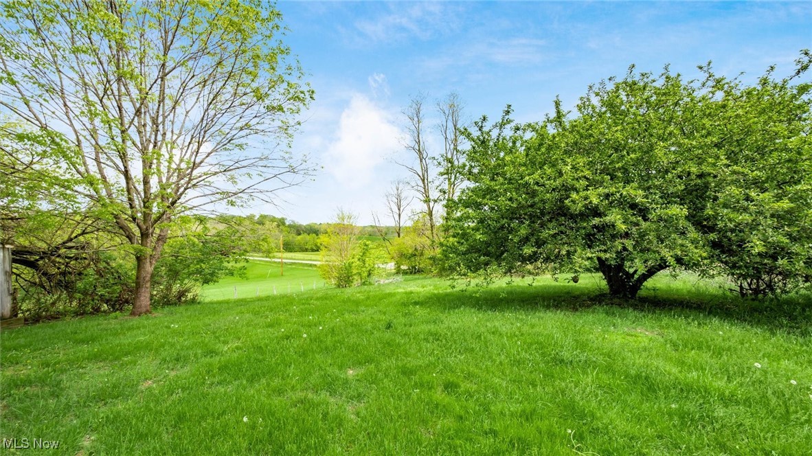 8045 Old Town Road, East Fultonham, Ohio image 14