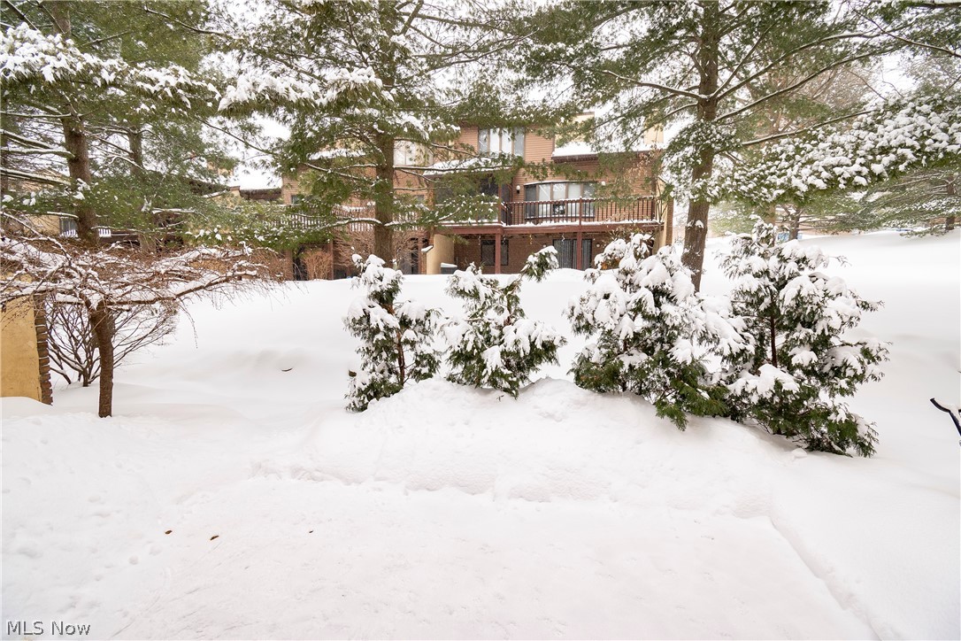 Silver Valley Condo - Residential