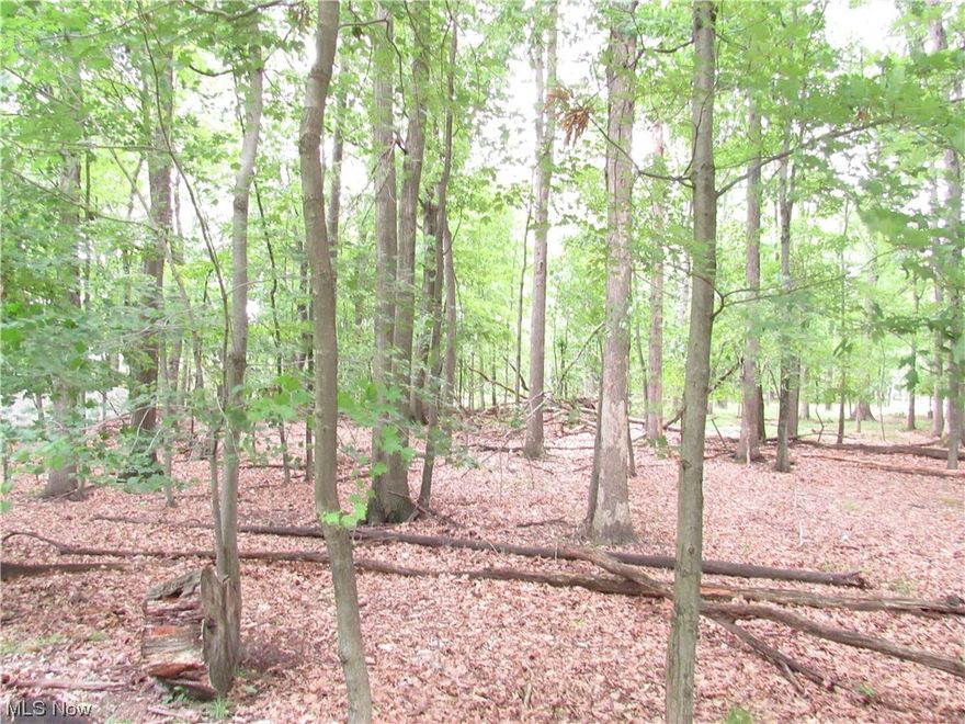 Great opportunity to build your dream home on a beautiful treed 183 x 170 foot lot. Almost 3/4 of an acre. Walk to restaurants, City Hall, municipal buildings, shopping and the mall. Nicest lot for sale in the city! Access to storm sewer, gas, electric and city sewer is 350 feet away.