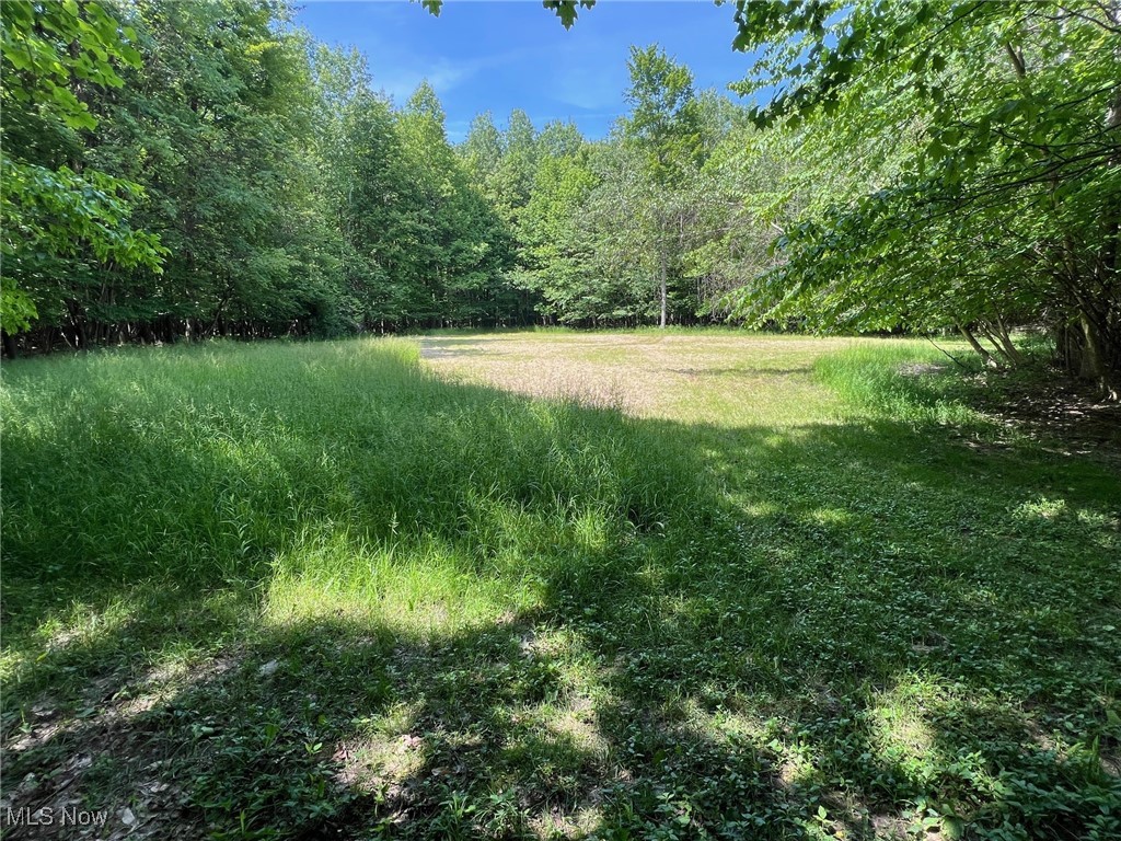 XXL vacant Land Parcel within minutes to I-90, this 95+ acre piece has a mix of farm fields and also plenty of wooded area with mature timber. If you're an avid hunter and outdoorsman or looking for a large parcel to build that dream home in the woods, this parcel could be what you're looking for! Frontage of 750+ feet and separate frontage measuring more than 260'+ feet it could also be subdivided if you so desire. Loaded with wildlife and possibilities! Come take a look...