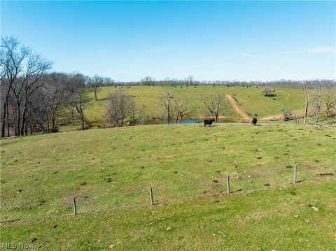 Vacant Land For Sale - 91100 Eckley Road<br/> Jewett, OH 43986