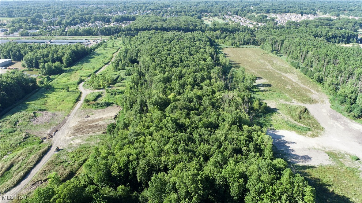 35666 Schneider Court