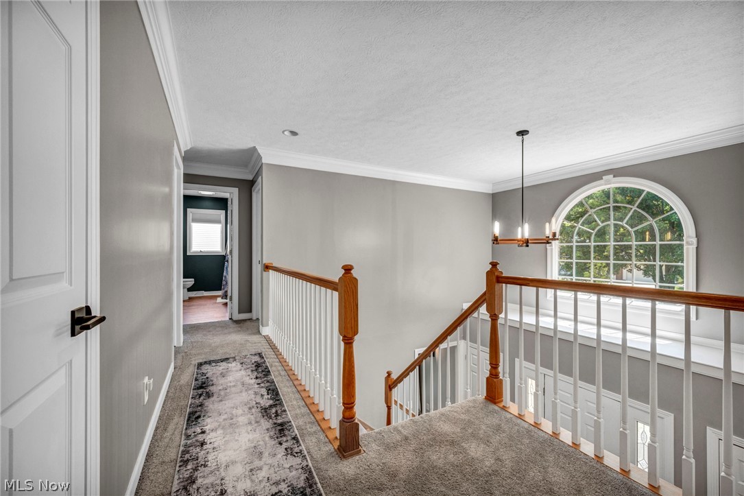 Montville Farms Medina - Residential