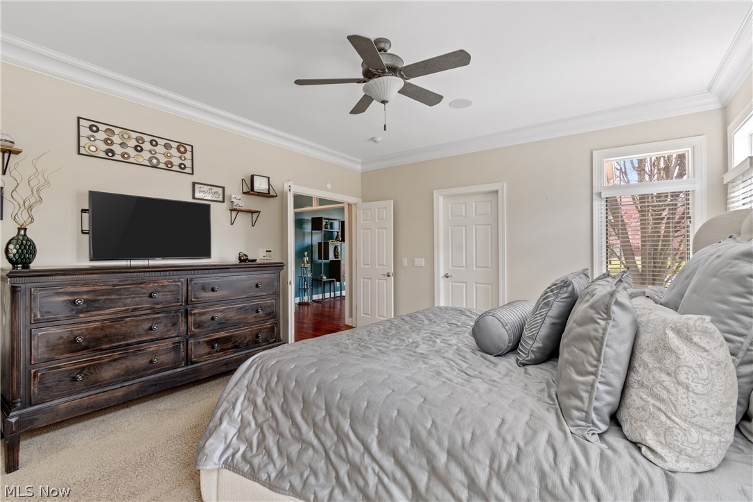 North Canton - Residential