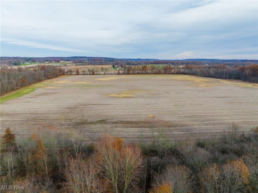 Great opportunity to purchase large contiguous acreage in northern Wayne County. These 92 acres has everything you need and more! Farmland, water, wooded acreage, and in general a very nice tract of largely undeveloped hunting and farming property. Your access will be from a private road (Harvey Circle) located in the northeast corner of the property and an easement will get in you in on the northwest corner giving you great access to hunt, farm or do whatever you wish on this one. The Chippewa River runs through this property so the chance to fish, hunt ducks and enjoy the water is here as well. Some harvestable timber is scattered throughout the property and whatever minerals the sellers own will transfer to the buyer at closing. The majority of the property does lay in the flood plain, but this does not lay low and look like the type of property that would flood. Give me a call with any questions are talk to your realtor about this chance to secure your hunting and farming property today and into the future.
