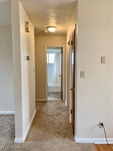 City Farms Allotment 01 - Residential Lease