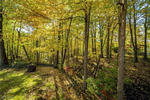 Tiny photo for 16425 Stagecoach Drive, Garrettsville, OH 44231 (MLS # 5254741)