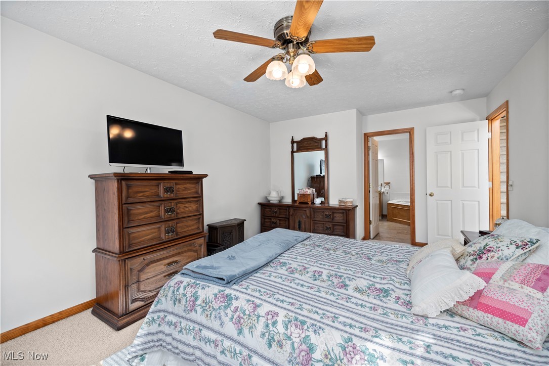 118 Ambleside Way, Amherst, Ohio image 21