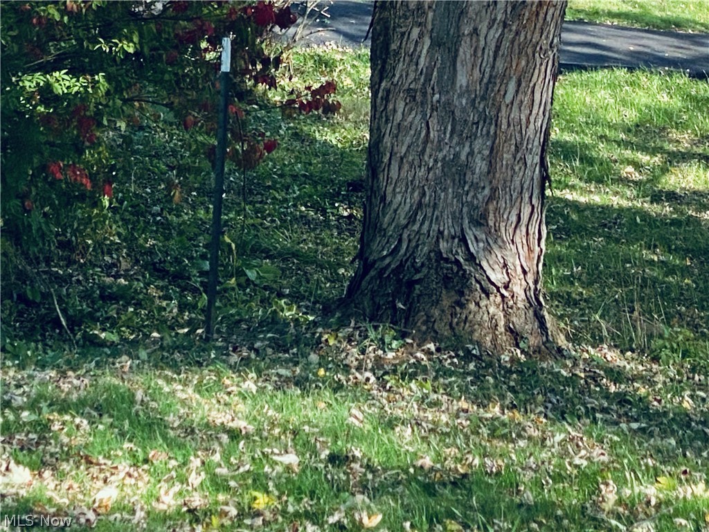 Cambridge - Residential