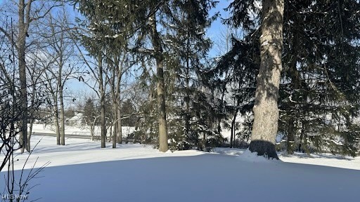 Heritage Glen Condo - Residential